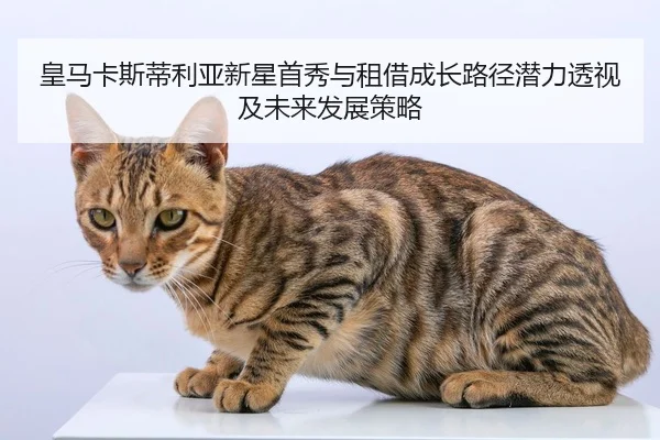huang-ma-ka-si-di-li-ya-xin-xing-shou-xiu-yu-zu-jie-cheng-zhang-lu-jing-qian-li-tou-shi-ji-wei-lai-fa-zhan-ce-lve-2-771.jpg